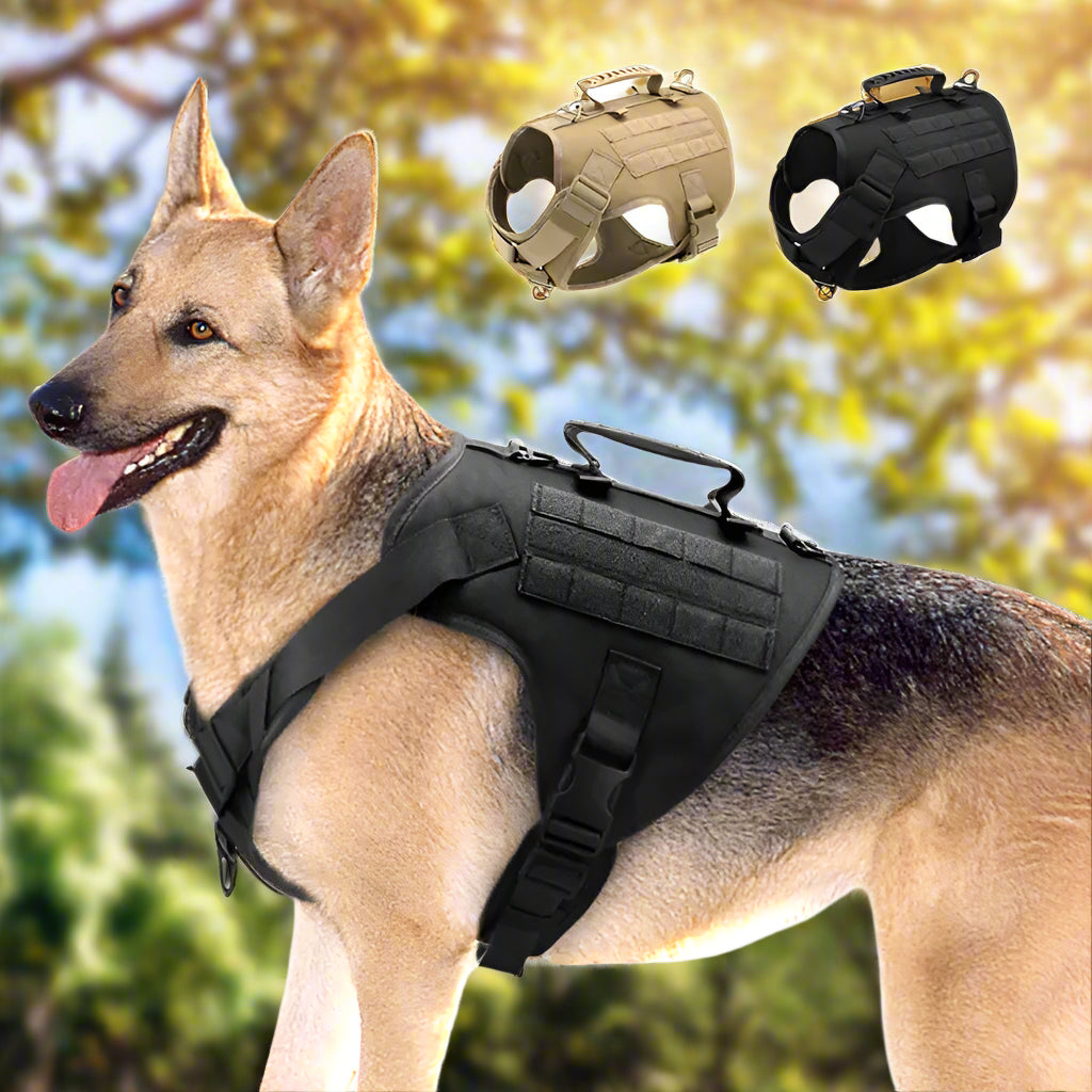 Comfort and safety with Tactics K9 harness vest for transforming walks into enjoyable experiences.