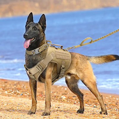 Comfort and safety with Tactics K9 harness vest for transforming walks into enjoyable experiences.