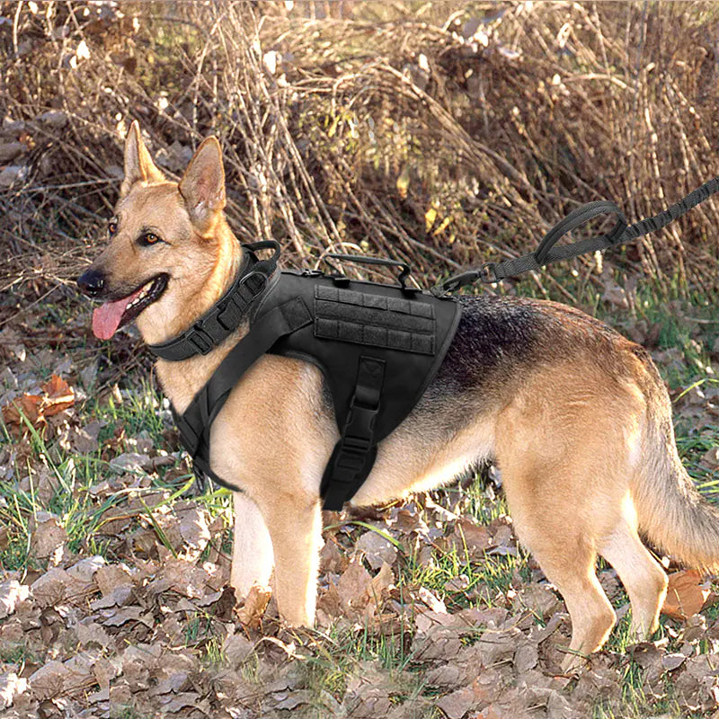 Comfort and safety with Tactics K9 harness vest for transforming walks into enjoyable experiences.