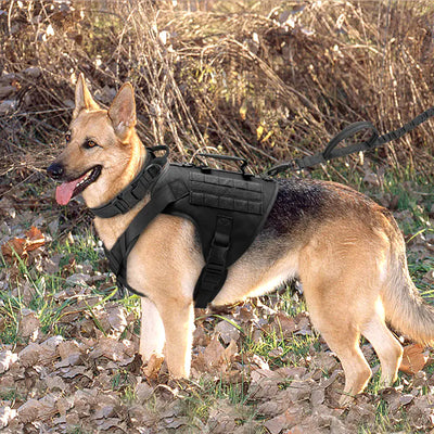 Comfort and safety with Tactics K9 harness vest for transforming walks into enjoyable experiences.
